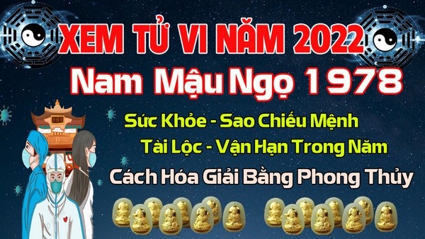 Xem Tử Vi Năm 2023 Nam Tuổi Mậu Ngọ 1978